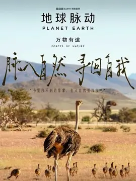 地球脉动：万物有道简介